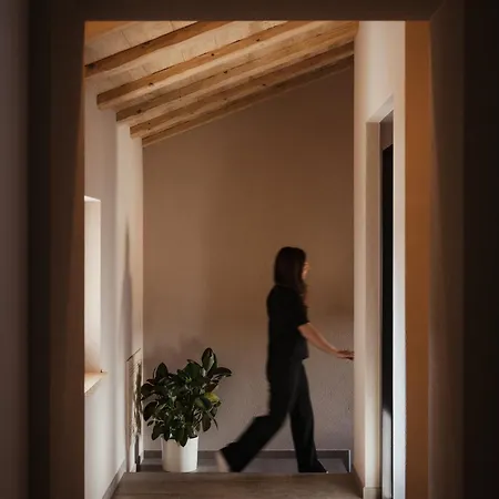 Bonvivar - Mountain *